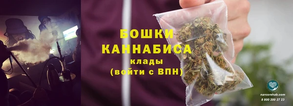 стафф Аркадак