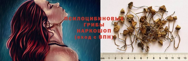МДПВ Армянск